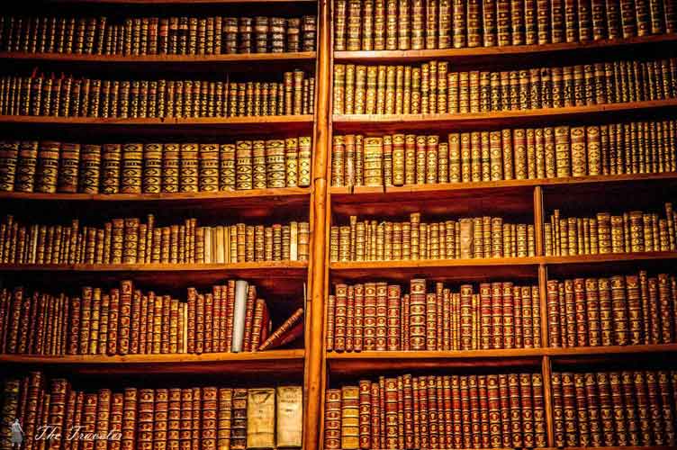 библиотека Виена / library Vienna